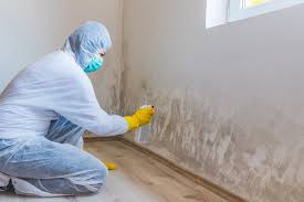 Best Mold Damage Restoration  in West Lealman, FL